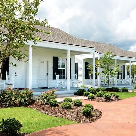 Nottoway Plantation And Resort White Castle Exteriér fotografie