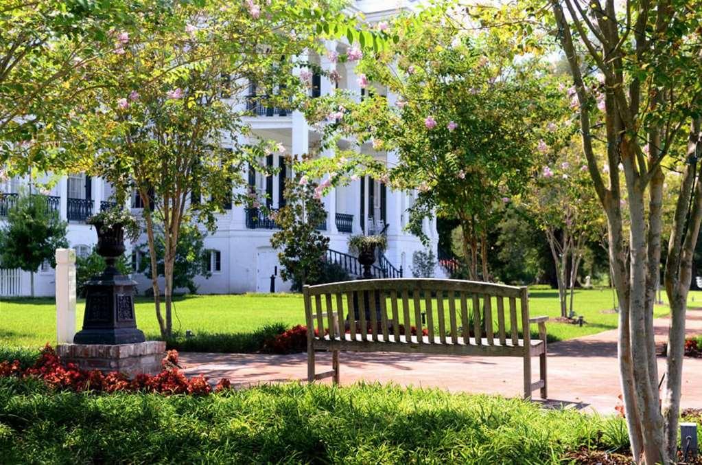 Nottoway Plantation And Resort White Castle Exteriér fotografie
