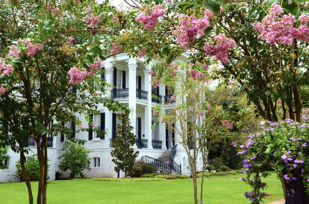 Nottoway Plantation And Resort White Castle Exteriér fotografie
